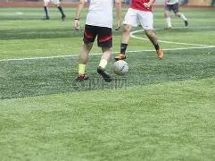 塞斯科,伊布是我的,足球偶像,开云体育,开云体育官网,开云体育app,开云体育平台,KAIYUN,SPORTS,kaiyun登录入口