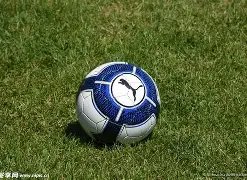 黄金市场分,多因素助力,金价攀升,开云体育,开云体育官网,开云体育app,开云体育平台,KAIYUN,SPORTS,kaiyun登录入口