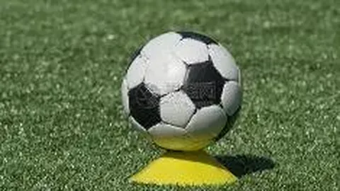 开云体育在线 产品 121556 n40