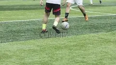 明日前瞻：谁将继任拉布布之位？